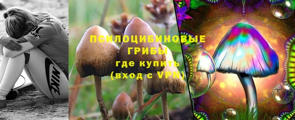 не бодяженный Алексин